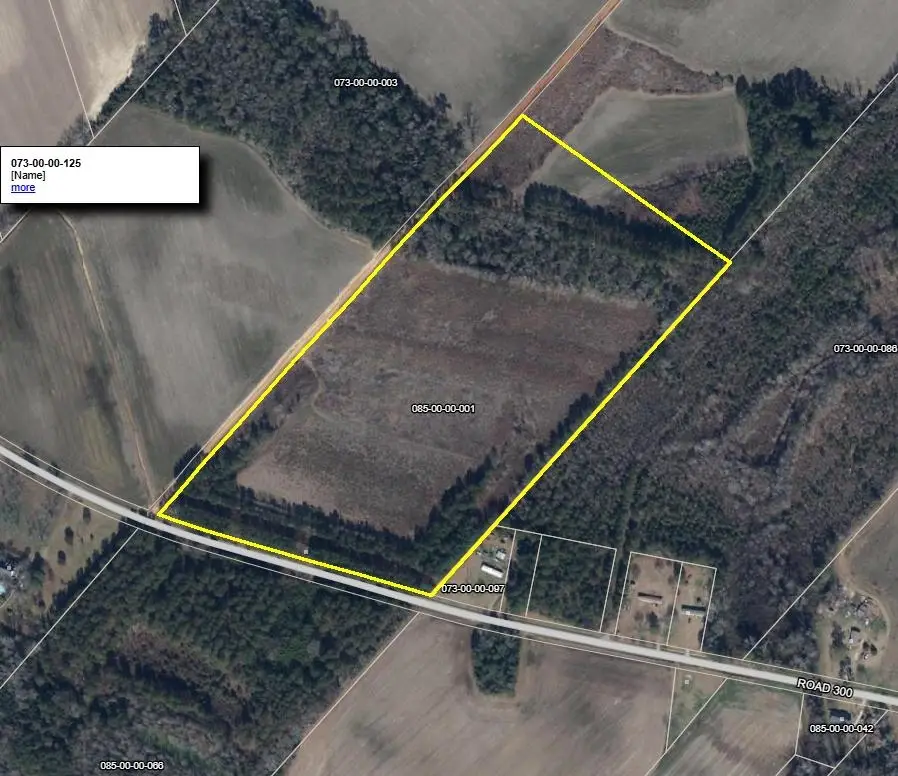 TBD Road 300, Lake View, SC 29563 - #2