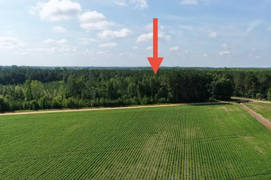 TBD Road 300, Lake View, SC 29563 - #3