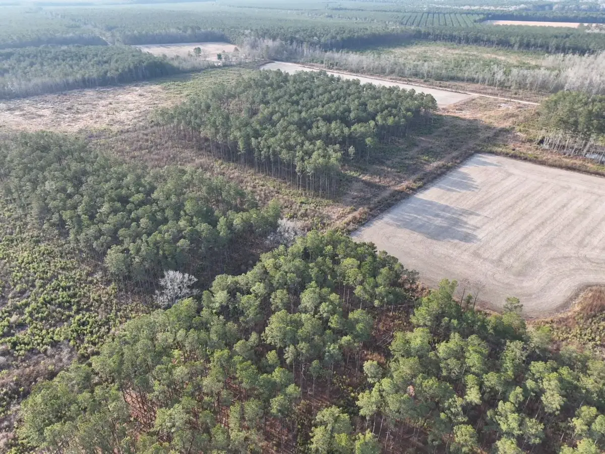 TBD Hwy 9, Marion, SC 29571 - #1