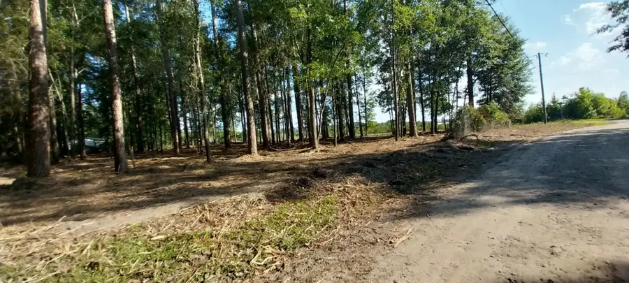 5540 York Rd, Marion, SC 29571 - #3