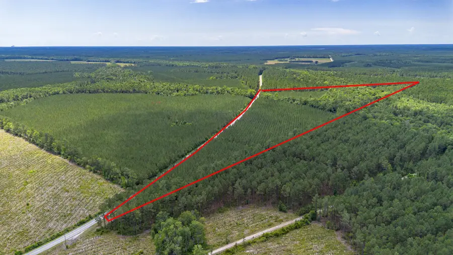 TBD Ten Acre Rd., Andrews, SC 29510 - #3