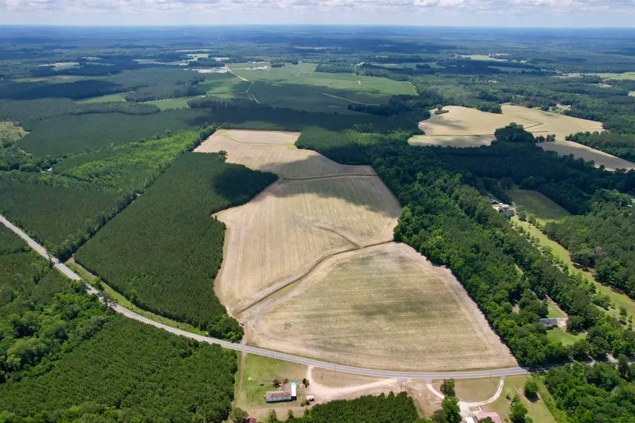 83.03 Acres - Birch Creek Rd., Andrews, SC 29510 - #2