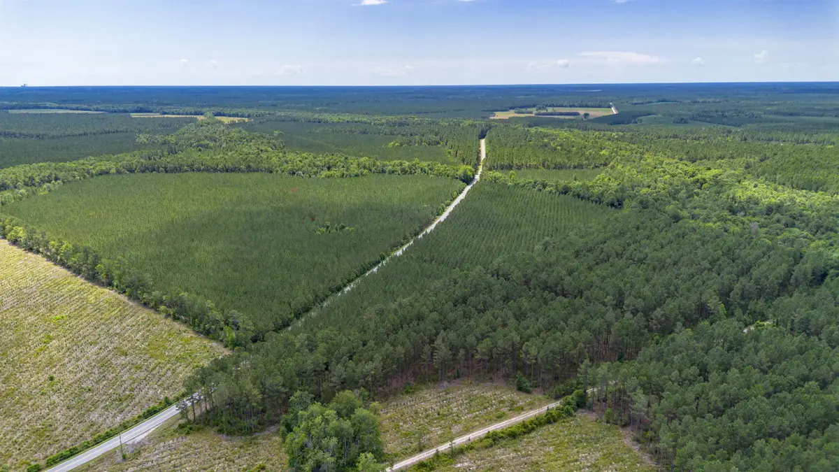 Tract B Ten Acre Rd., Andrews, SC 29510 - #1