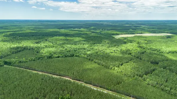 Tract C Ten Acre Rd., Andrews, SC 29510