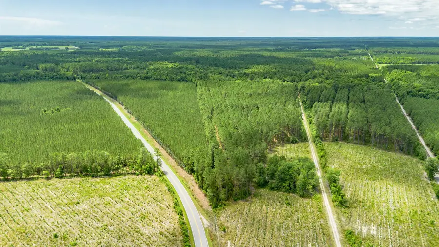 Tract C Ten Acre Rd., Andrews, SC 29510 - #3