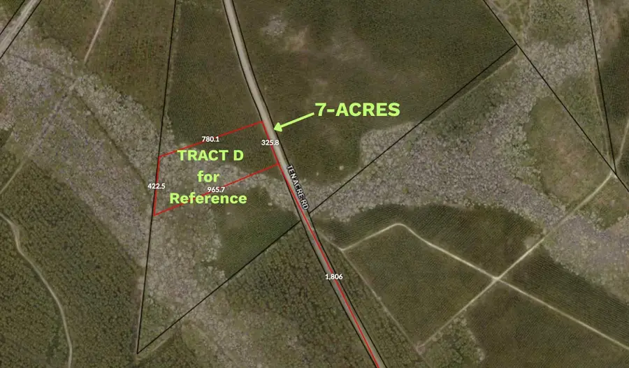 Tract D Ten Acre Rd., Andrews, SC 29510 - #2