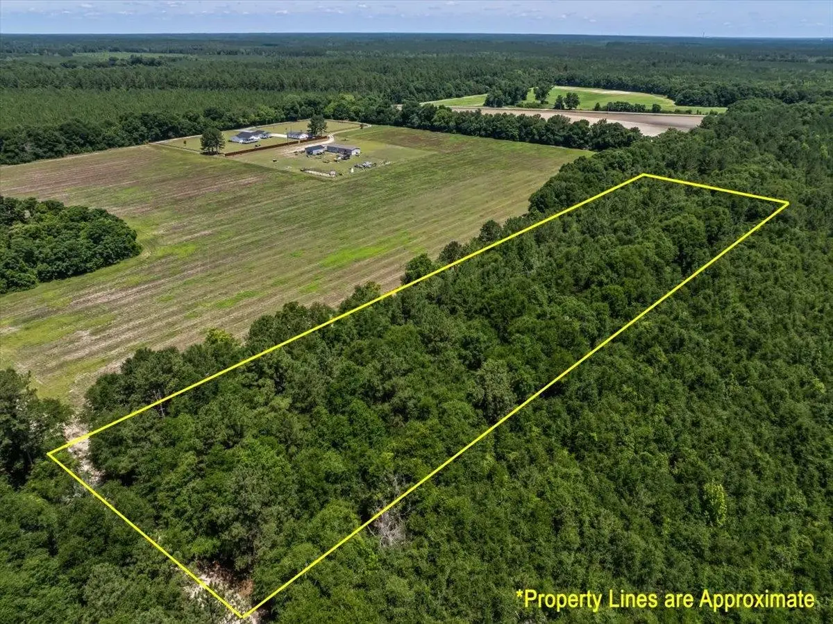 TBD 5.3 Acres Springtown Rd, Bamberg, SC 29003 - #1