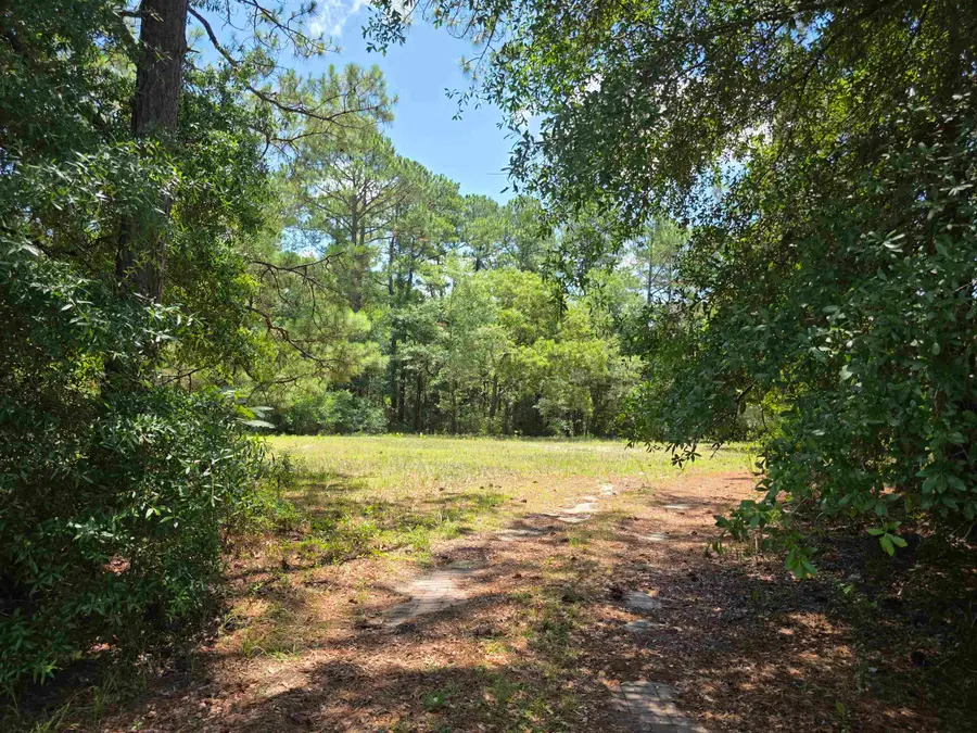 TBD Highway 701 South, Conway, SC 29527 - #2