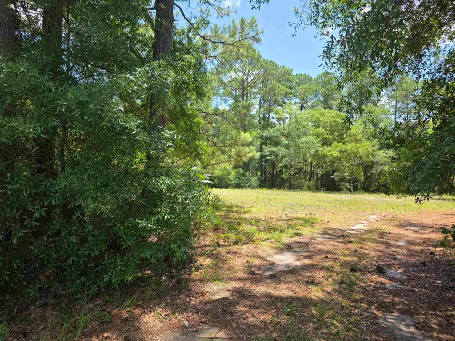 TBD Highway 701 South, Conway, SC 29527 - #3