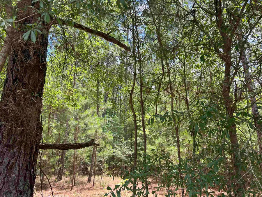 TBD Ervin Road Ervin Rd., Andrews, SC 29510 - #3