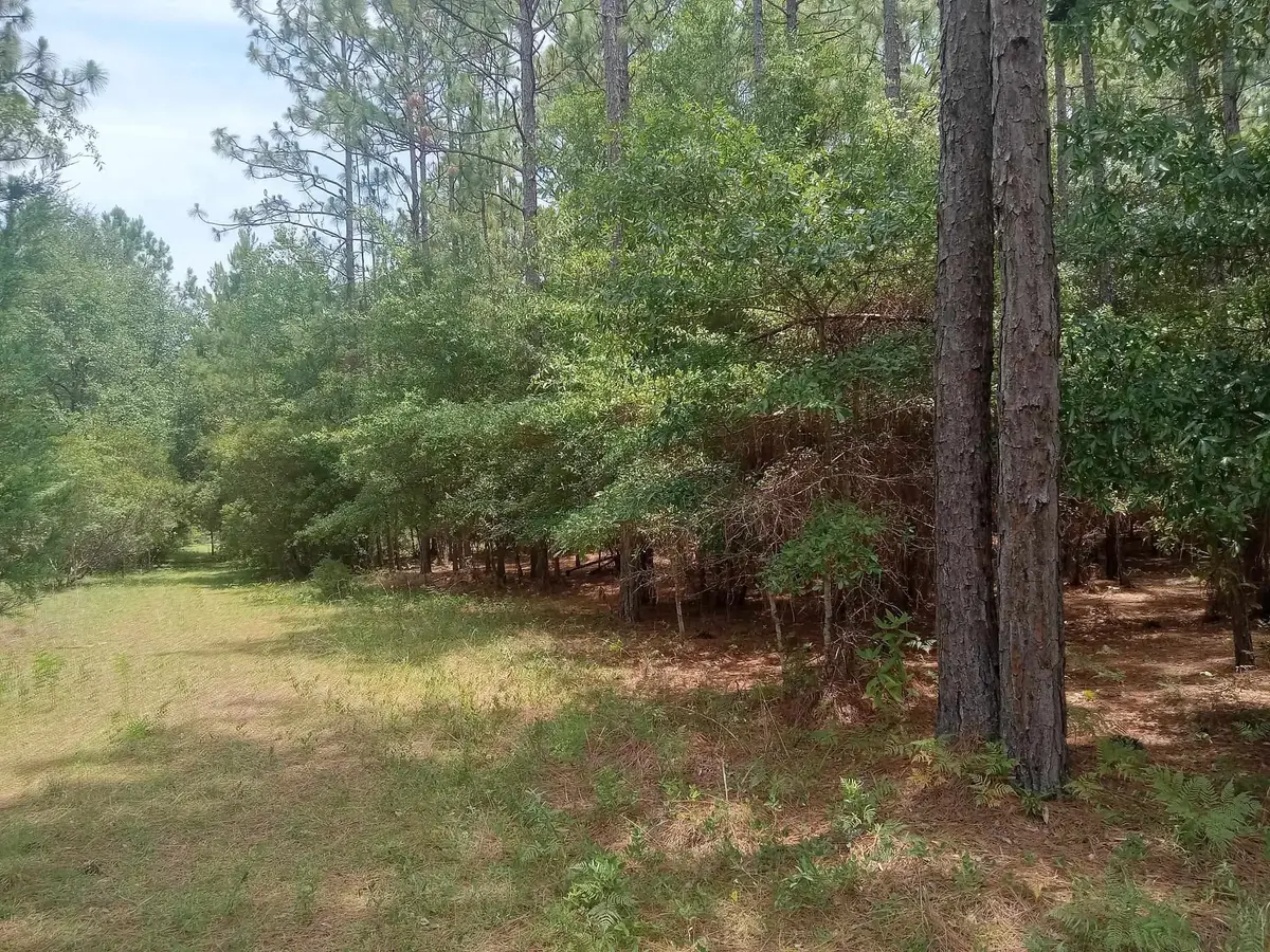 LOT 1074 Duany Dr., Georgetown, SC 29440 - #1
