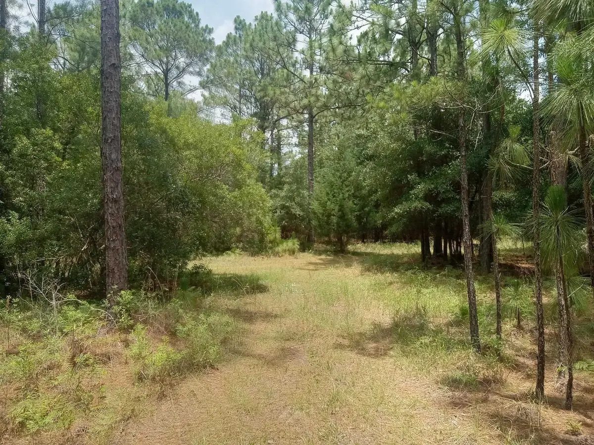 Lot 1038 Kilsock Dr., Georgetown, SC 29440 - #1