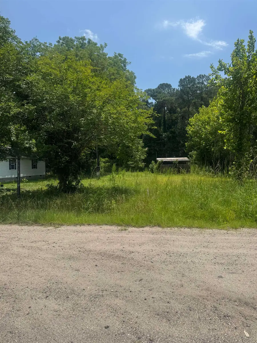 3216 Old Nelson Rd., Conway, SC 29526 - #3