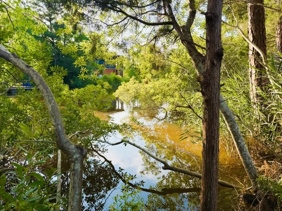 67 Ricefield Pl., Georgetown, SC 29440 - #3