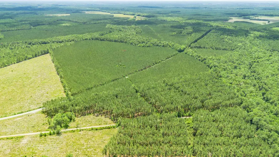 TBD Ten Acre Rd., Andrews, SC 29510 - #2