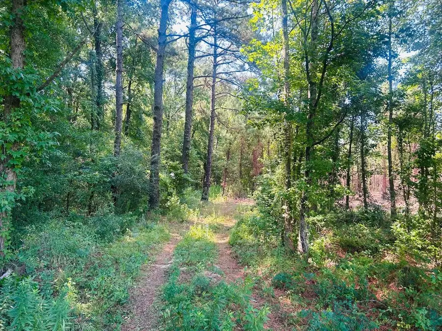 18.58 Acres - Turkey Ln, Kingstree, SC 29556 - #2