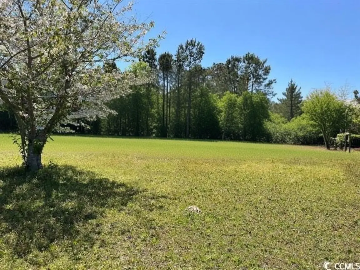 12727 Ocean Hwy., Pawleys Island, SC 29585 - #1
