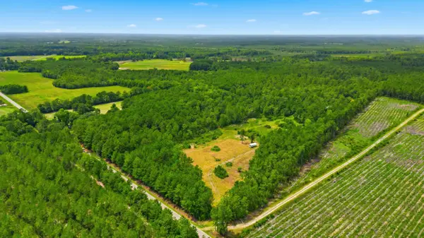 TBD Williams Hill Rd., Hemingway, SC 29554