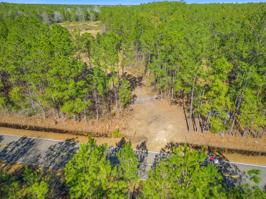 TBD Williams Hill Rd., Hemingway, SC 29554 - #2