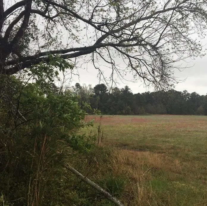 TBD 31.31 Acres Atlantic Breeze Dr., North Myrtle Beach, SC 29582 - #1