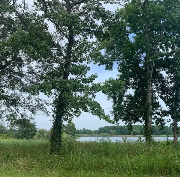 TBD 45.22 Acres Atlantic Breeze Dr., North Myrtle Beach, SC 29582