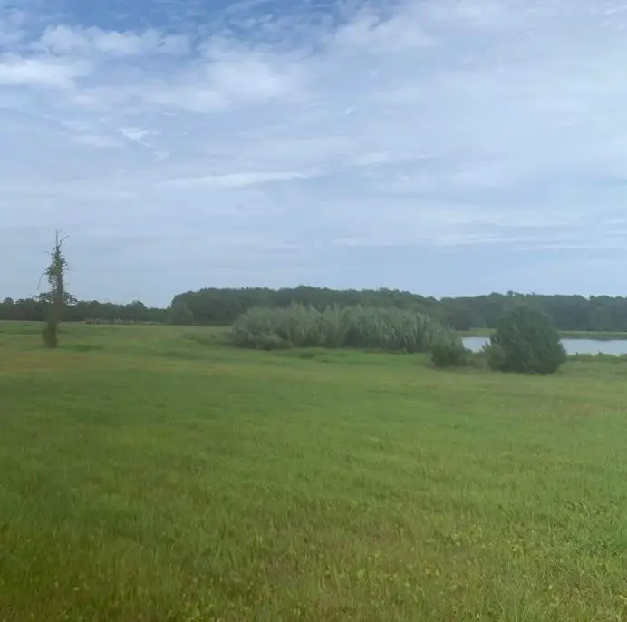 TBD 44.25 Acres Old Sanders Dr., North Myrtle Beach, SC 29582 - #3