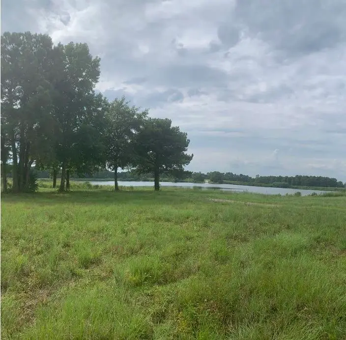 TBD 28.53 Acres Old Sanders Dr., North Myrtle Beach, SC 29582 - #1