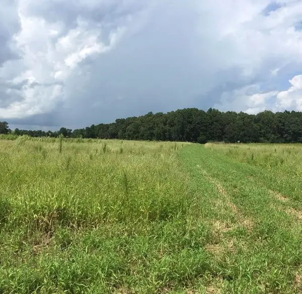 TBD 30.42 Acres Atlantic Breeze Dr., North Myrtle Beach, SC 29582