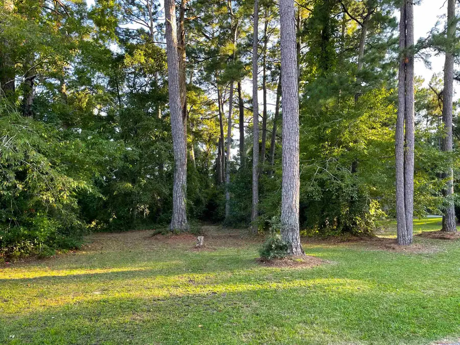 4195 Golf Ave., Little River, SC 29566 - #3