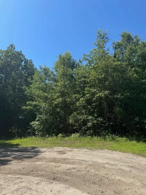 TBD Derrick Ct., Marion, SC 29571