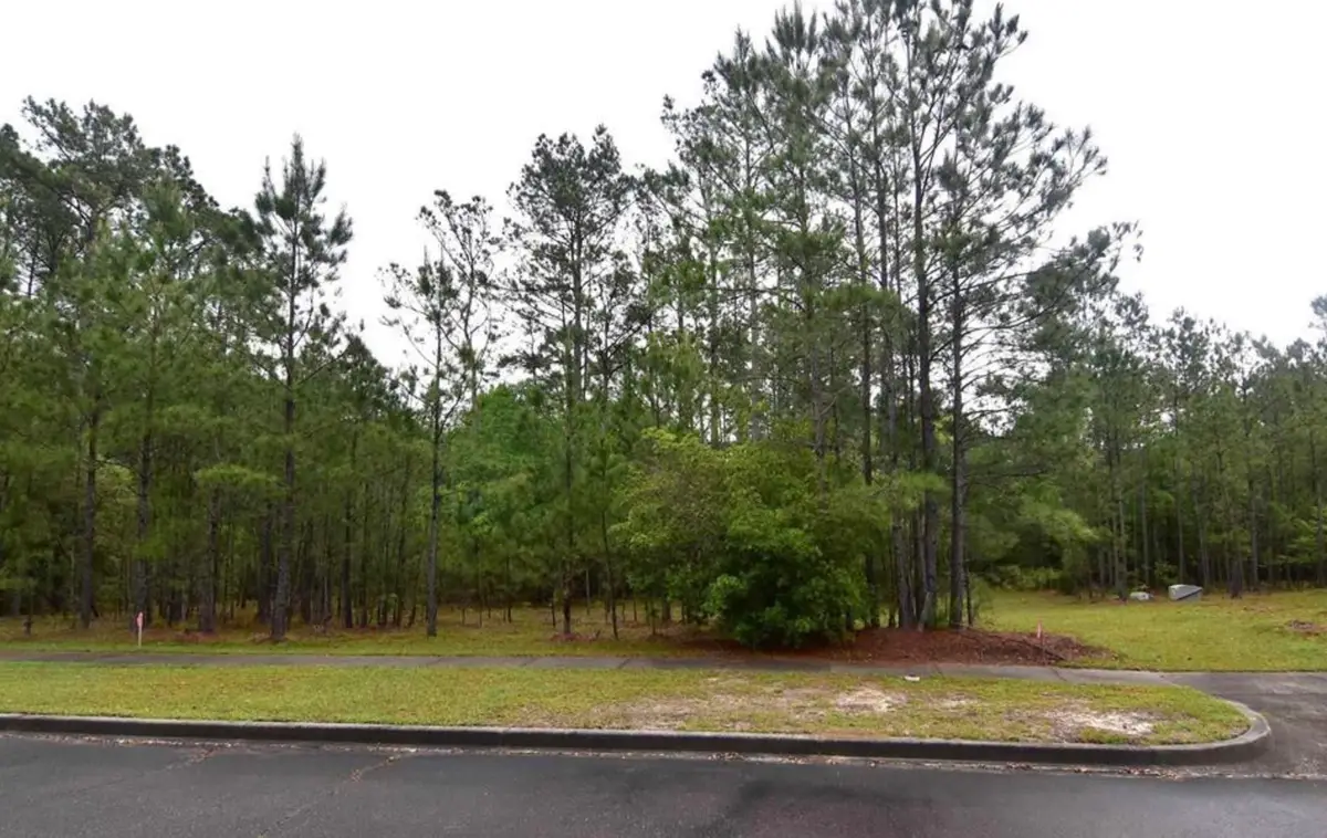 121 Pineberry Dr., Georgetown, SC 29440 - #1