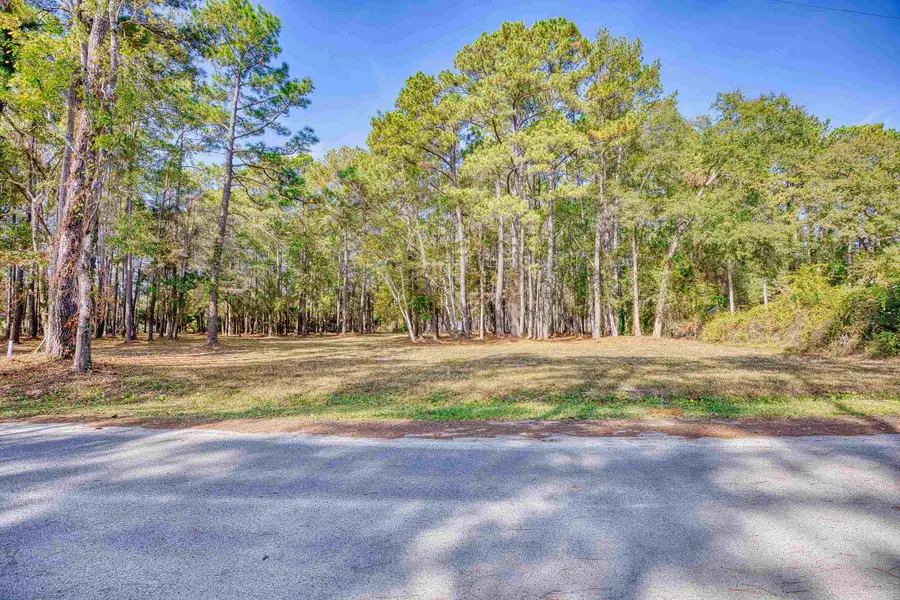 4250 Lilac Rd., Myrtle Beach, SC 29588 - #3