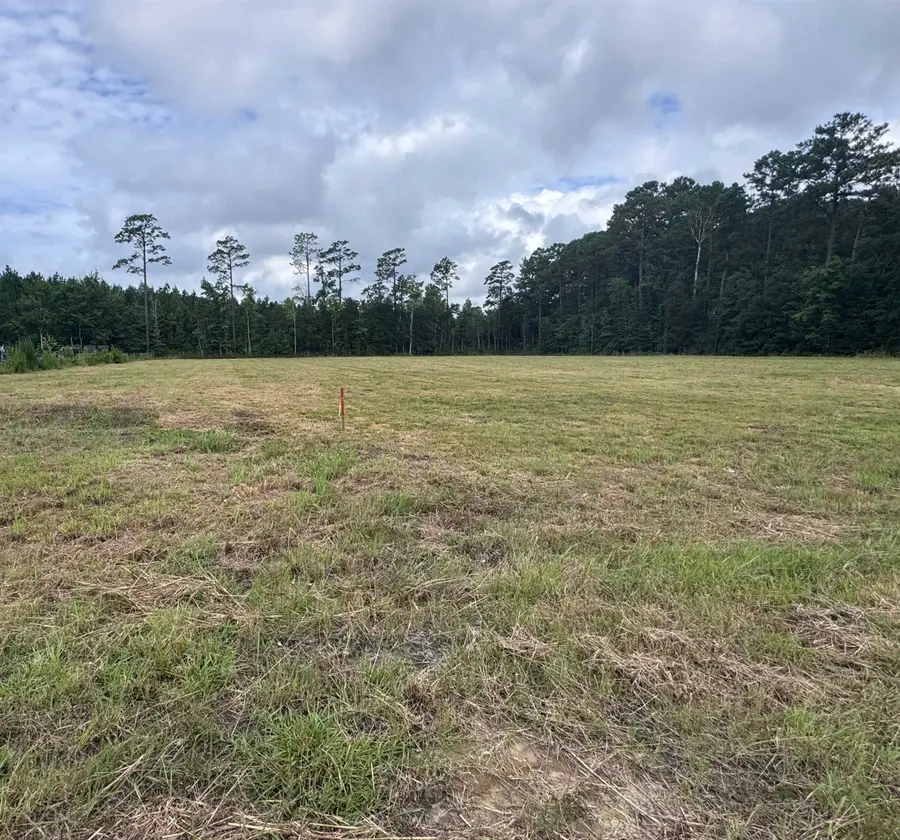 6178 Highway 701 South, Conway, SC 29526 - #2
