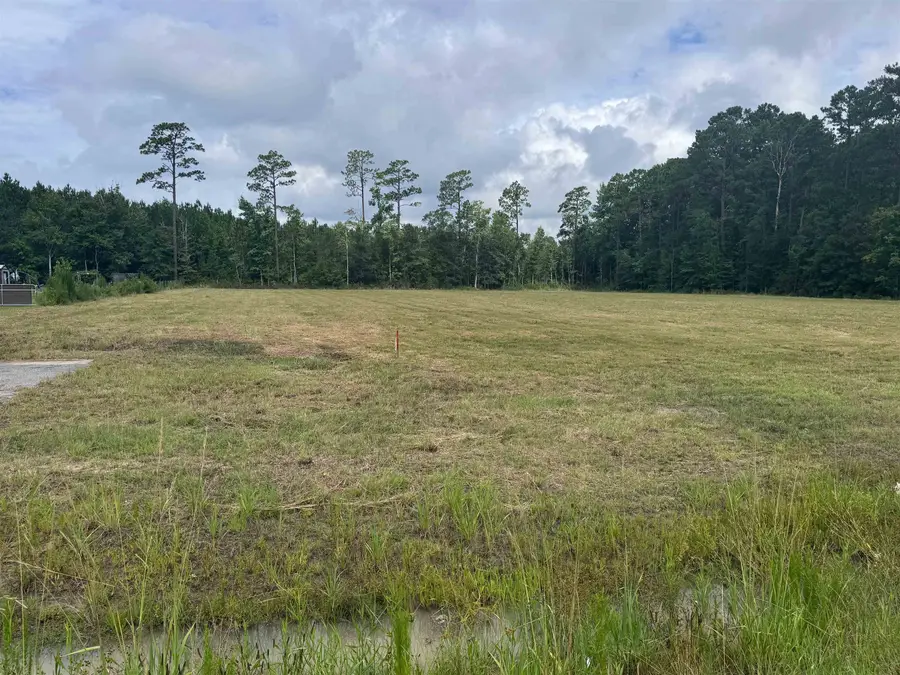 6178 Highway 701 South, Conway, SC 29526 - #3