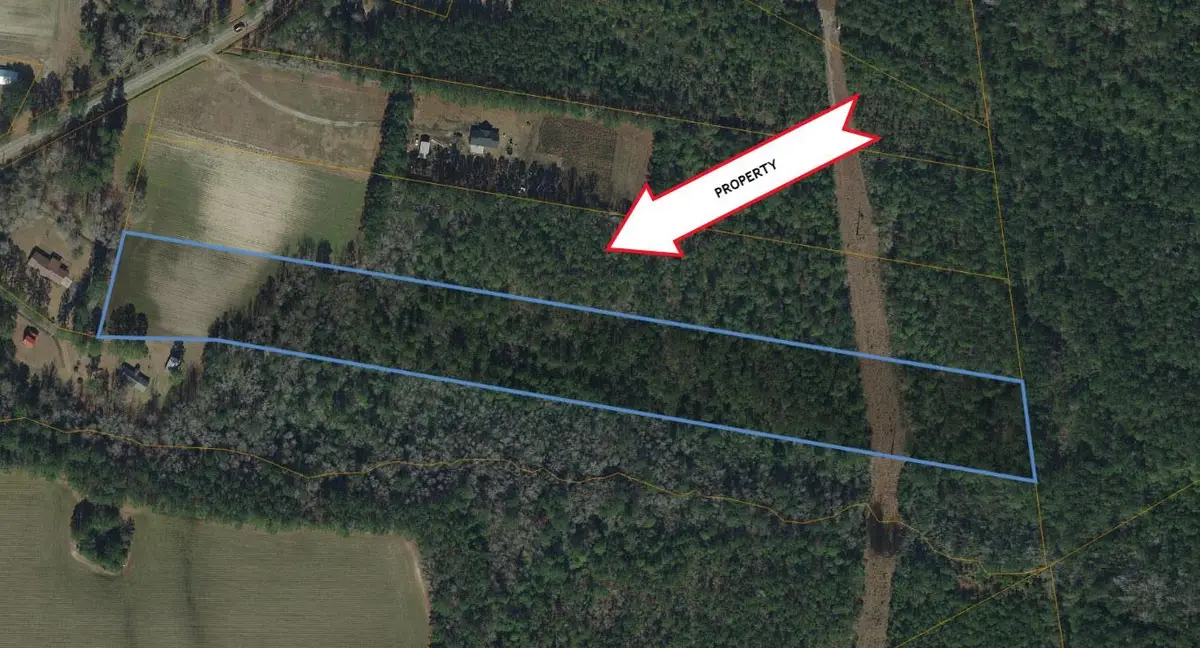 TBD U A Johnson Ln, Galivants Ferry, SC 29544 - #1