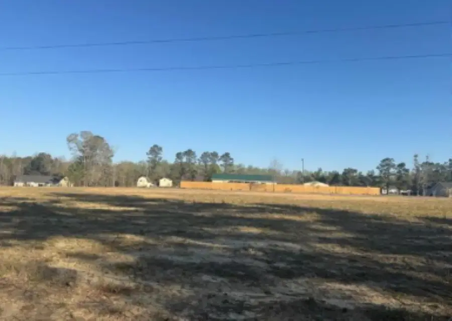 TBD Janice Ct, Latta, SC 29565 - #2
