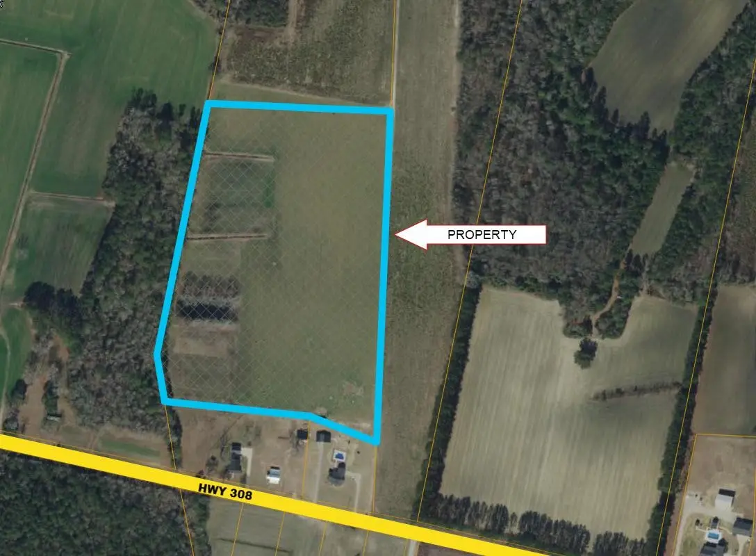 TBD Highway 308, Galivants Ferry, SC 29544 - #1