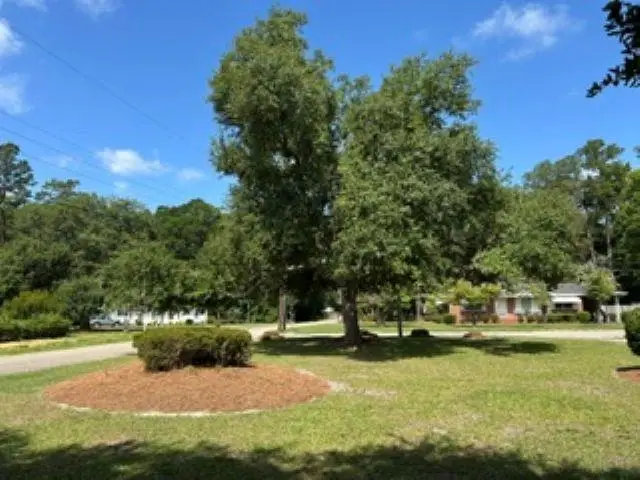 500 E Andrews St., Hemingway, SC 29554 - #2
