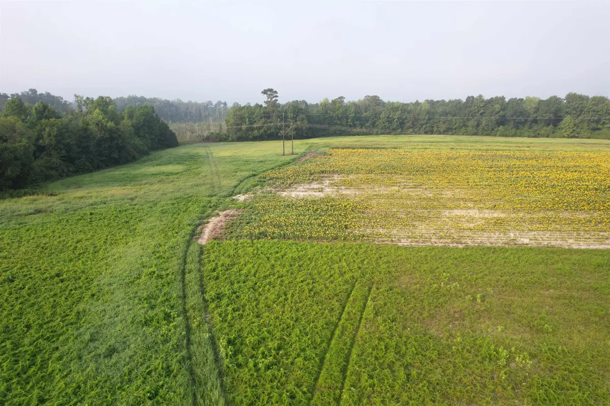 9.58 Acres - S Deerfield Rd., Johnsonville, SC 29555 - #1