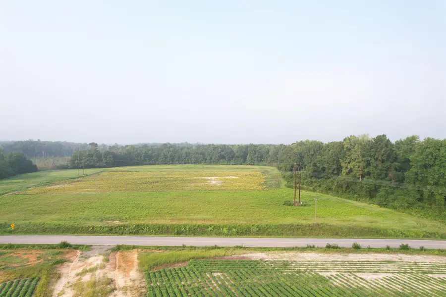 17.74 Acres - S Deerfield Rd., Johnsonville, SC 29555 - #2