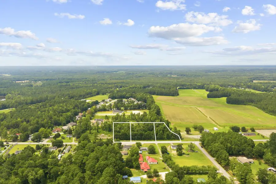 TBD Highway 905, Conway, SC 29526 - #3