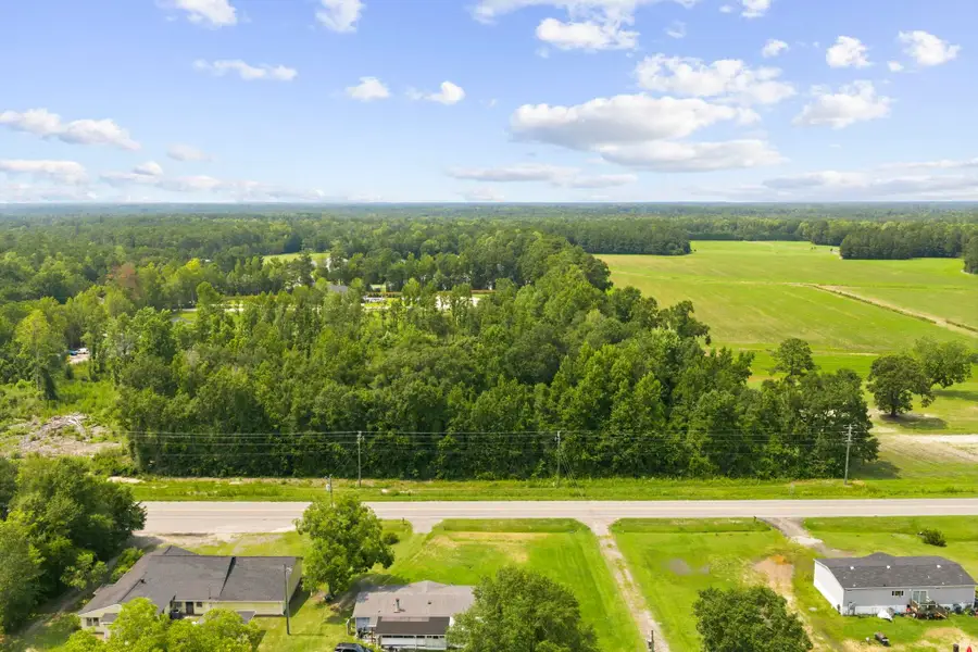 TBD Highway 905, Conway, SC 29526 - #3