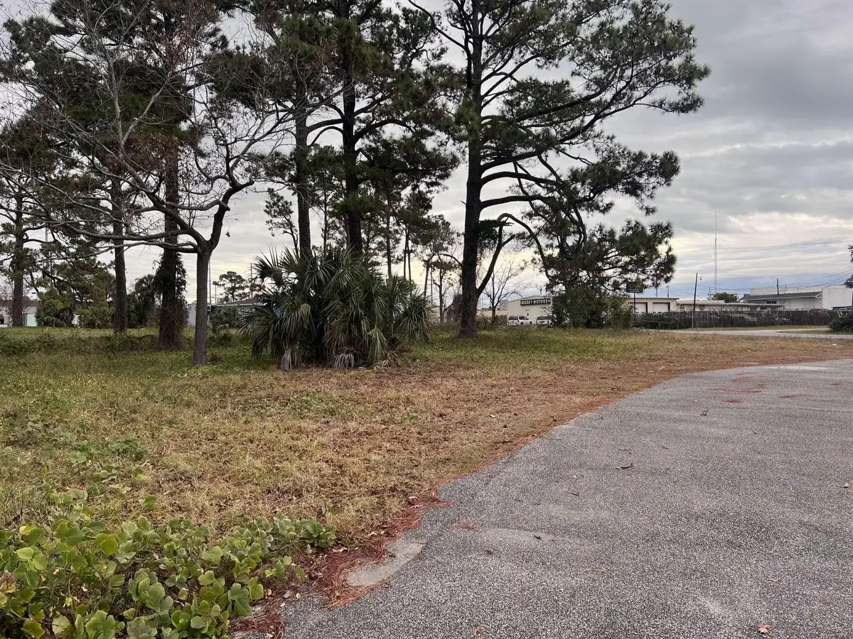 Lot 4 Alder St., Myrtle Beach, SC 29577 - #1