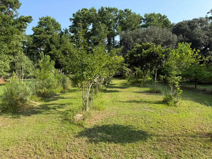 236 Wraggs Ferry Rd., Georgetown, SC 29440 - #2