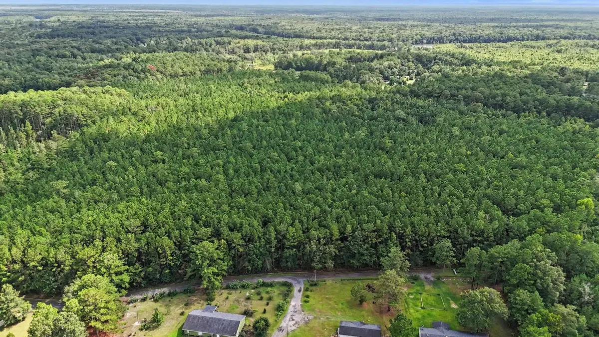 TBD Rustwood Dr., Georgetown, SC 29440 - #1
