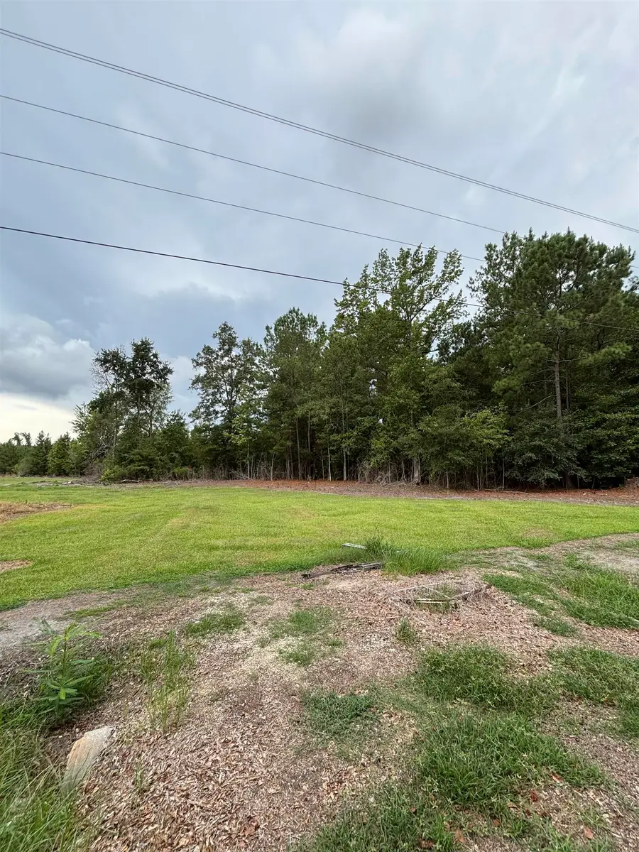 TBD Third St., Lane, SC 29564 - #2