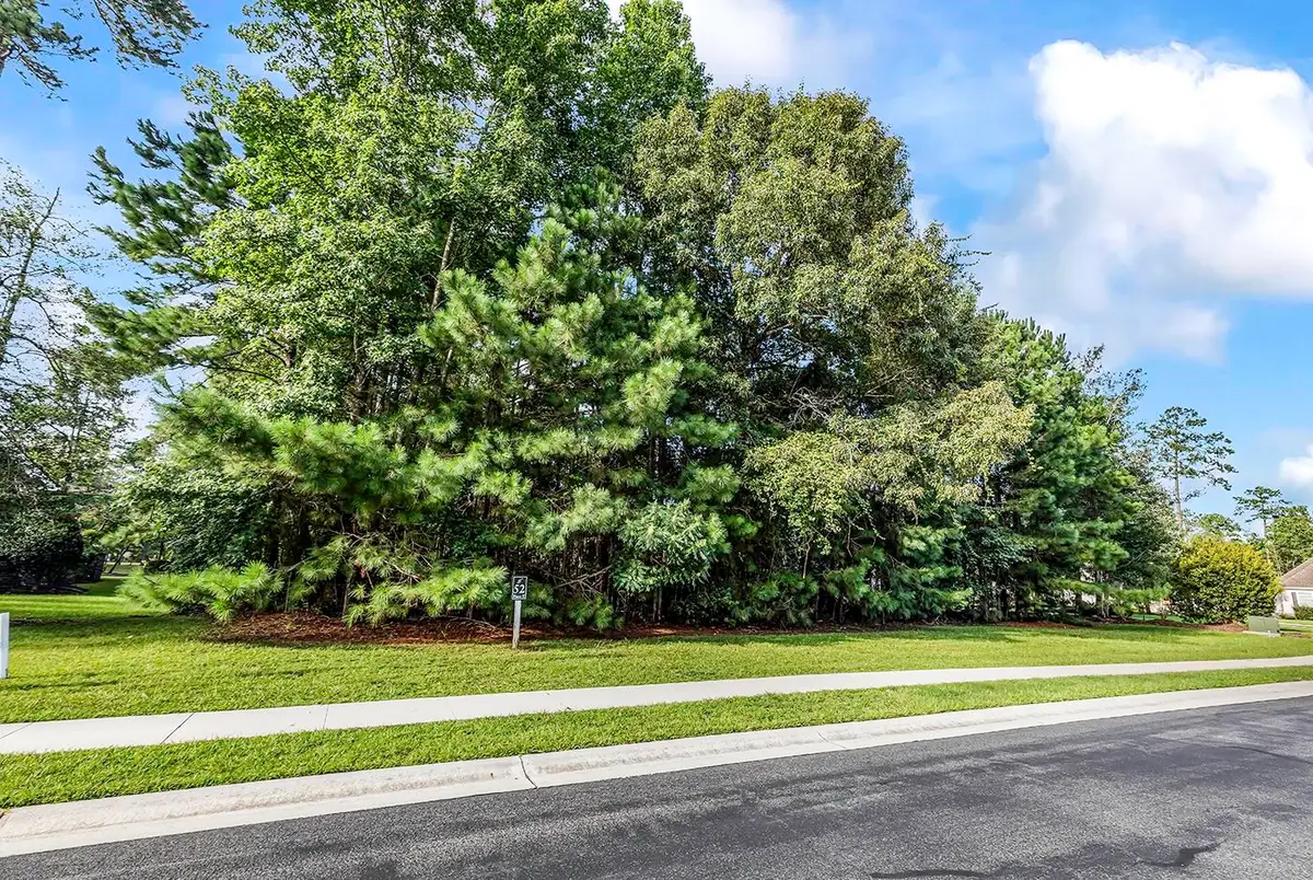 155 Low Country Loop, Murrells Inlet, SC 29576 - #1