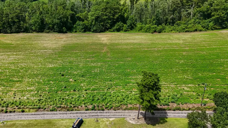 Lot 4 Ida Ln, Conway, SC 29527 - #2