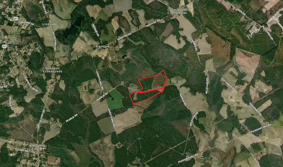 TBD Pearlie Dr., Dillon, SC 29536 - #2