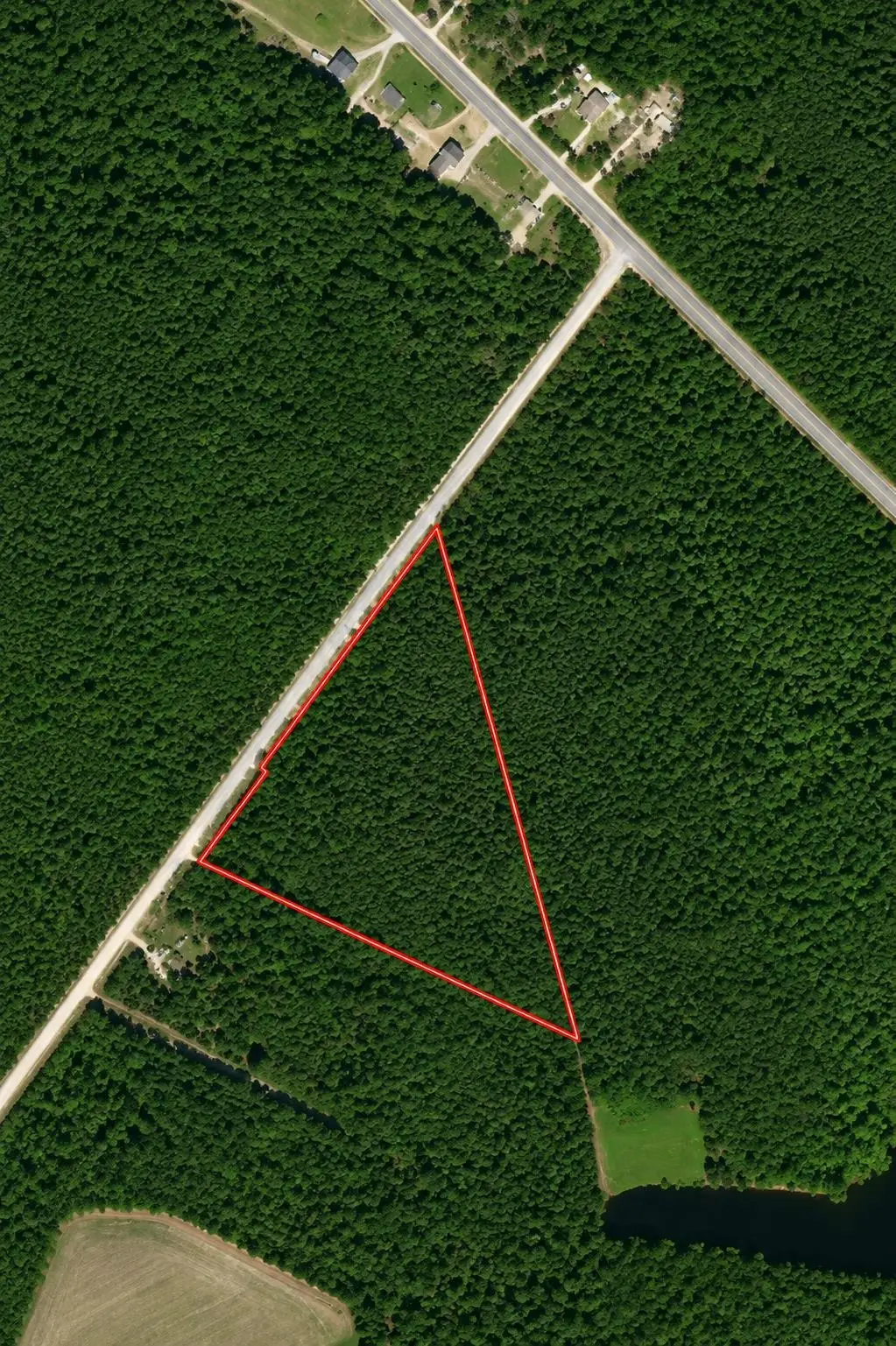 TBD Wolf Pit Bay Rd., Nichols, SC 29581 - #1